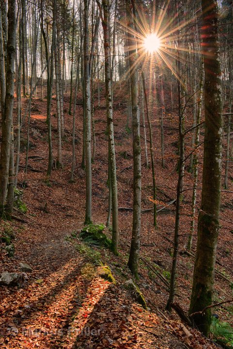 2013.10.31 134454 Auerberg und Königsschlösser Herbst HDR